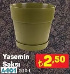 YASEMİN SAKSI YASEMİN SAKSI